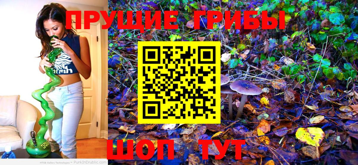 купить закладку  Галлюциногенные грибы прущие грибы  Вход с VPN  Павловский Посад 